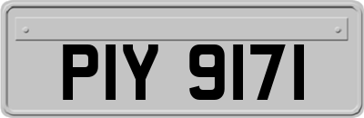 PIY9171