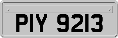 PIY9213