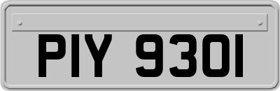 PIY9301