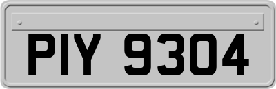 PIY9304