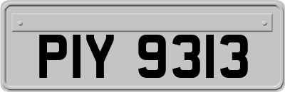 PIY9313