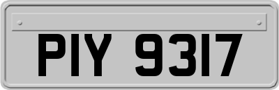 PIY9317