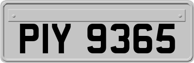 PIY9365