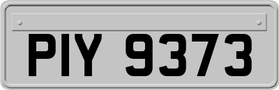 PIY9373