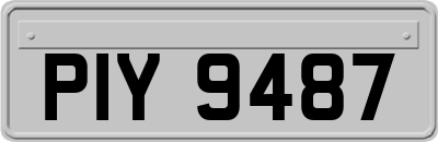 PIY9487