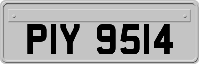 PIY9514