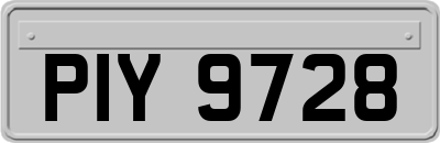 PIY9728