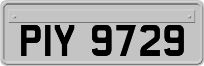 PIY9729