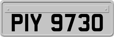 PIY9730