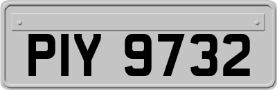 PIY9732