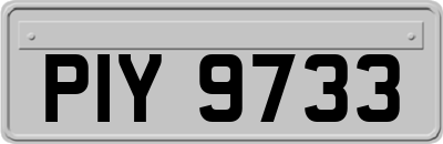 PIY9733