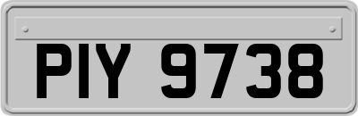 PIY9738