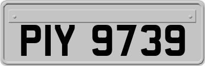 PIY9739