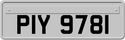 PIY9781