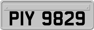 PIY9829