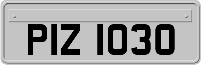 PIZ1030