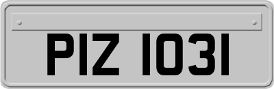 PIZ1031