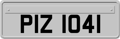 PIZ1041