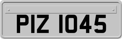 PIZ1045