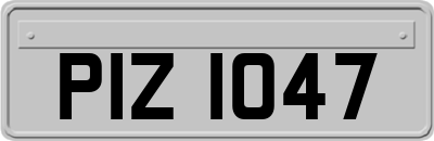 PIZ1047