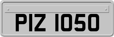 PIZ1050