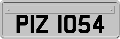 PIZ1054