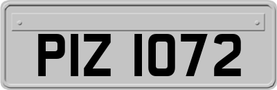 PIZ1072