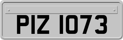 PIZ1073