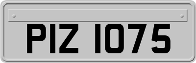 PIZ1075