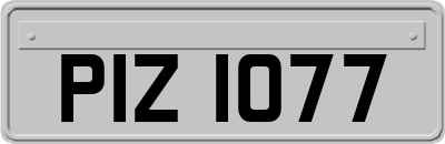 PIZ1077