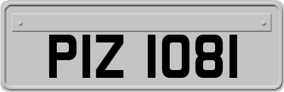 PIZ1081