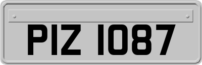 PIZ1087