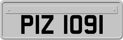 PIZ1091