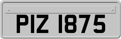 PIZ1875