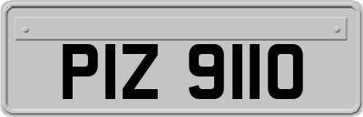 PIZ9110