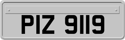 PIZ9119