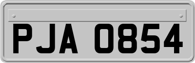 PJA0854