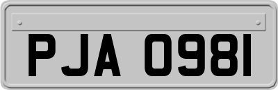 PJA0981