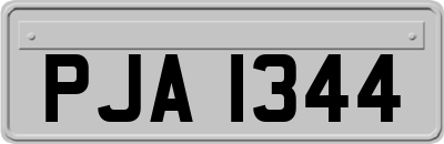 PJA1344