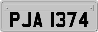 PJA1374