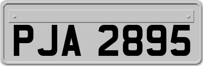 PJA2895