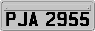 PJA2955