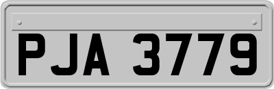 PJA3779