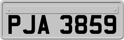 PJA3859