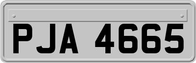 PJA4665