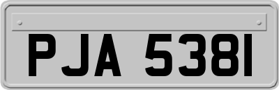 PJA5381
