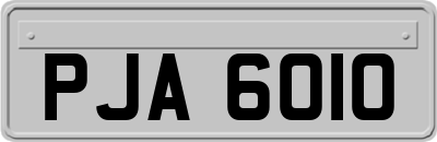 PJA6010