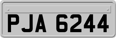 PJA6244