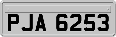 PJA6253