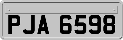 PJA6598